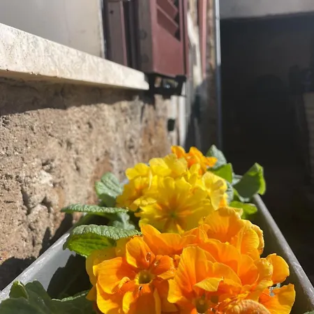 La Casetta Di Giogi Lägenhet *